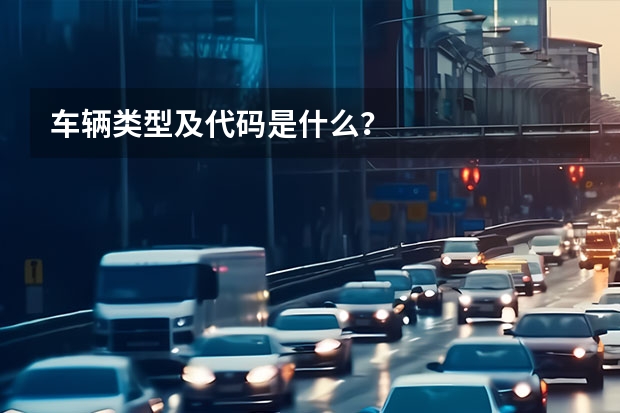 车辆类型及代码是什么？
