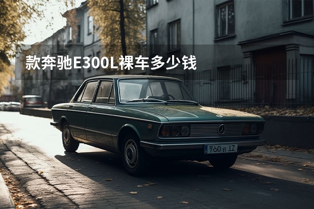 款奔驰E300L裸车多少钱