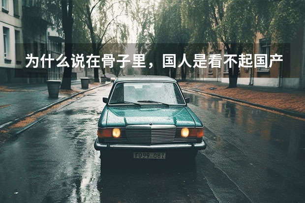 为什么说在骨子里，国人是看不起国产车的？