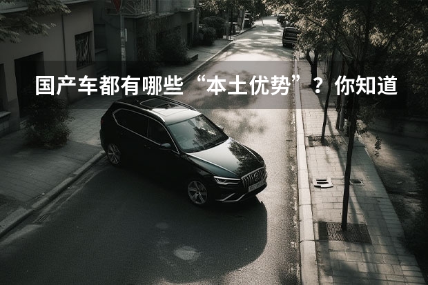 国产车都有哪些“本土优势”？你知道多少？