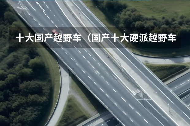 十大国产越野车（国产十大硬派越野车排行榜）
