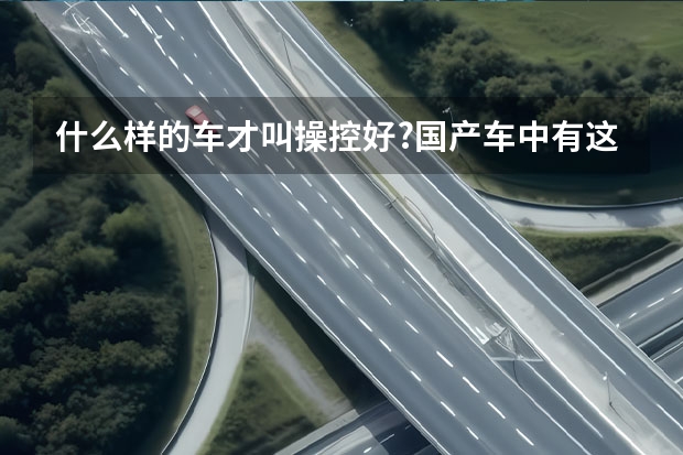 什么样的车才叫操控好?国产车中有这样的代表吗？