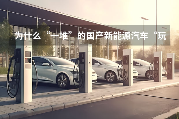 为什么“一堆”的国产新能源汽车“玩不过”一个特斯拉？