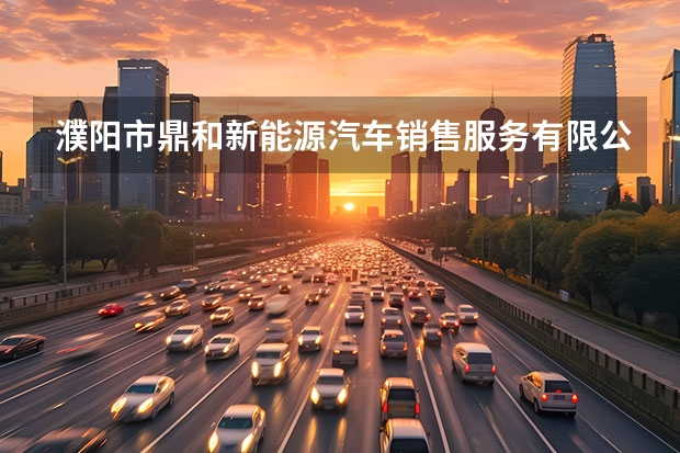 濮阳市鼎和新能源汽车销售服务有限公司怎么样？