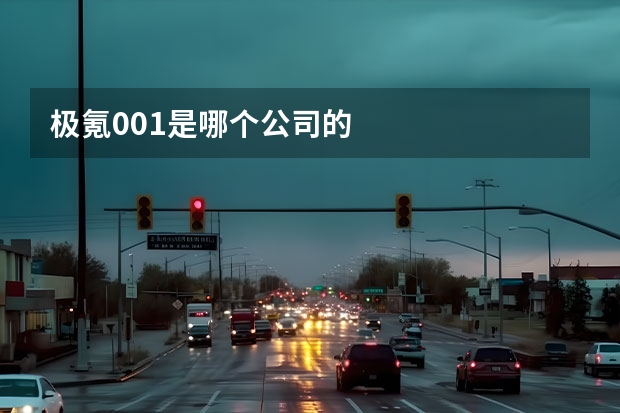 极氪001是哪个公司的