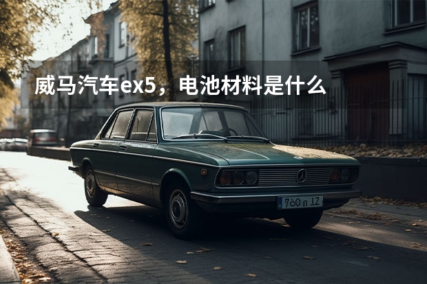 威马汽车ex5，电池材料是什么