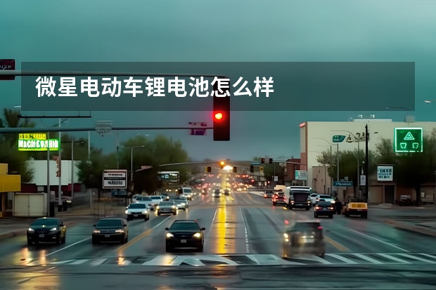 微星电动车锂电池怎么样