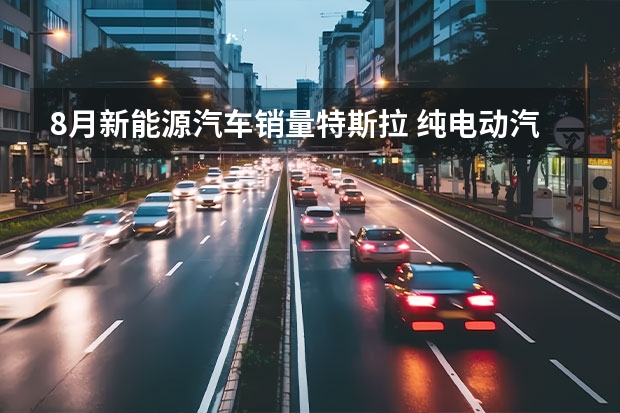 8月新能源汽车销量特斯拉 纯电动汽车销量排名？