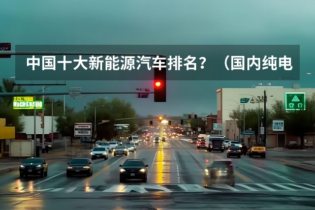 中国十大新能源汽车排名？（国内纯电动汽车十大名牌）