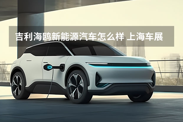 吉利海鸥新能源汽车怎么样 上海车展看啥新能源车？比亚迪海鸥、极氪X都在榜