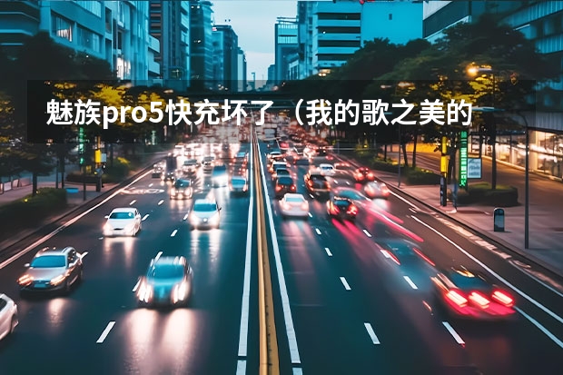 魅族pro5快充坏了（我的歌之美的mp5充电时应该冲坏了。电也充不进去，但充电时可以用，所以键都是向左）