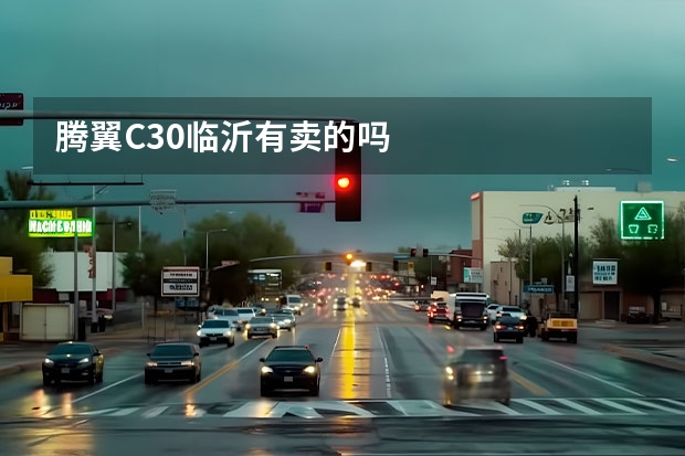 腾翼C30临沂有卖的吗