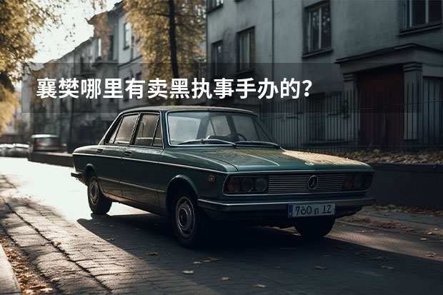 襄樊哪里有卖黑执事手办的？