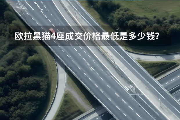 欧拉黑猫4座成交价格最低是多少钱？欧拉黑猫报价