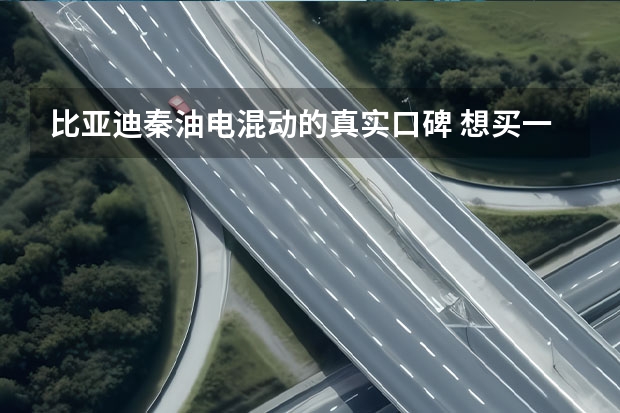 比亚迪秦油电混动的真实口碑 想买一辆微型电动车，是选比亚迪e1还是欧拉R1？