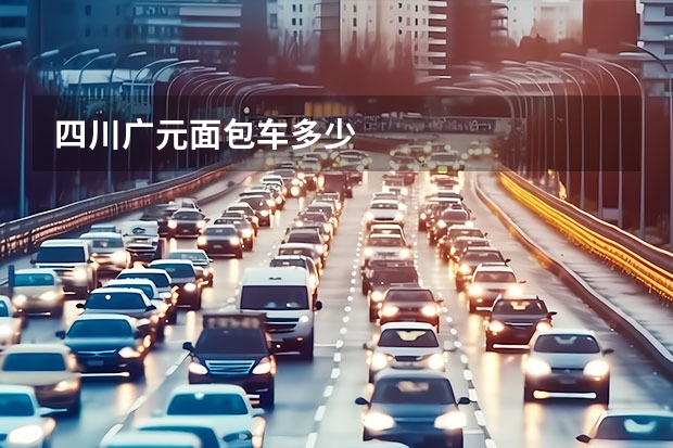 四川广元面包车多少