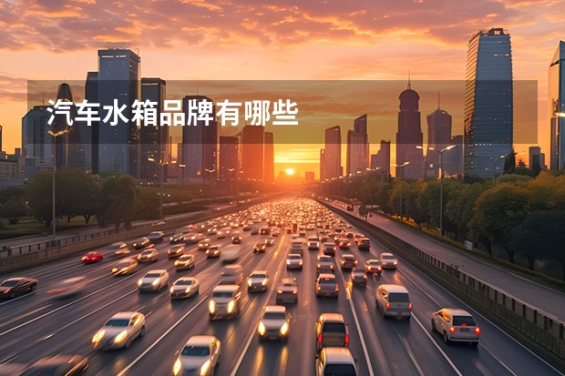 汽车水箱品牌有哪些