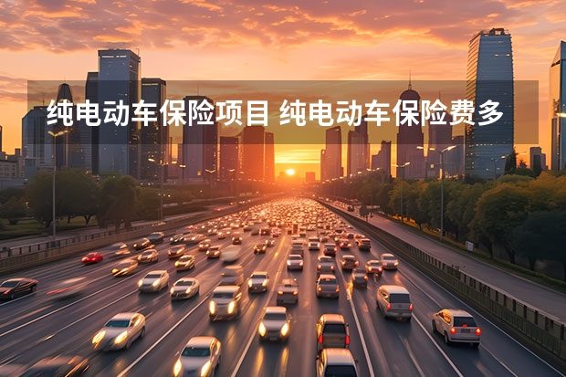 纯电动车保险项目 纯电动车保险费多少钱