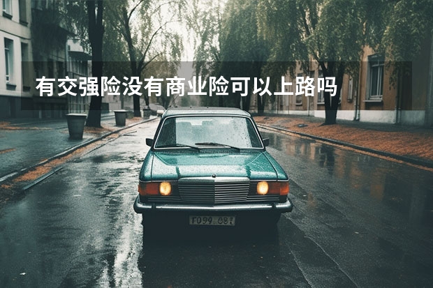 有交强险没有商业险可以上路吗