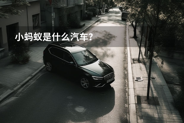 小蚂蚁是什么汽车？