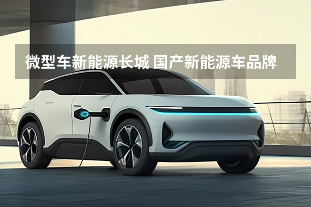 微型车新能源长城 国产新能源车品牌？