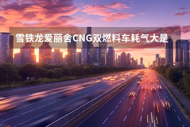 雪铁龙爱丽舍CNG双燃料车耗气大是什么原因如何解决?