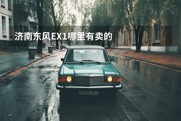 济南东风EX1哪里有卖的