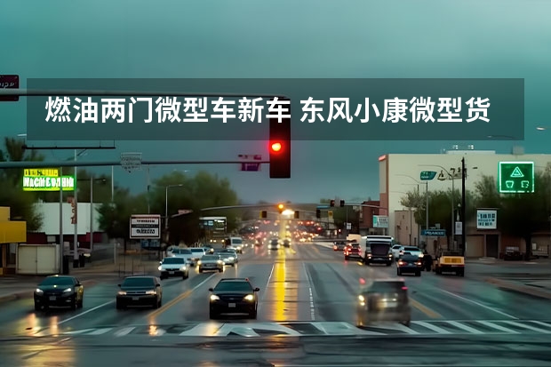燃油两门微型车新车 东风小康微型货车新车报价 东风小康1.5双排小货车