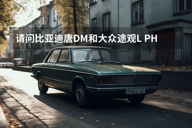 请问比亚迪唐DM和大众途观L PHEV，我应该怎么选择呢？
