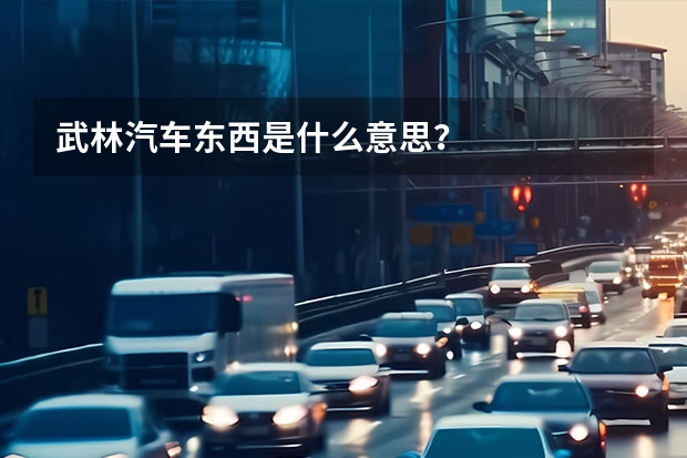 武林汽车东西是什么意思？