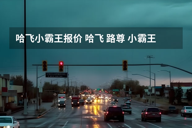 哈飞小霸王报价 哈飞 路尊 小霸王 4月黑龙江地区价格和质量怎么样？有知道的朋友给点意见~！