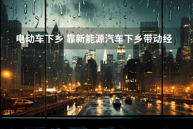 电动车下乡 靠新能源汽车下乡带动经济？网友：为什么总觉得乡下人有钱