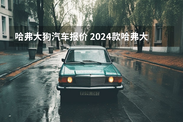 哈弗大狗汽车报价 2024款哈弗大狗焕新上市 售价12.39万元