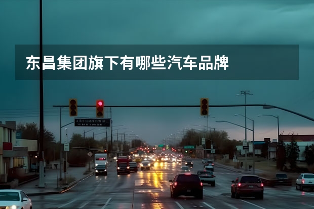 东昌集团旗下有哪些汽车品牌