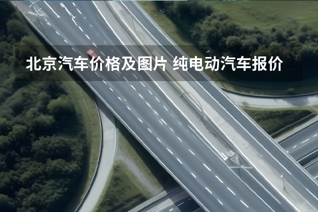 北京汽车价格及图片 纯电动汽车报价大全价格及图片 比亚迪新能源电动汽车价格表