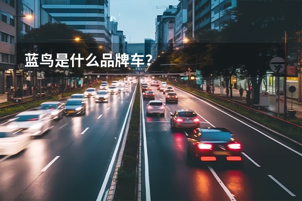 蓝鸟是什么品牌车？